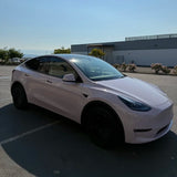 Gloss Lavender Gray Color PPF